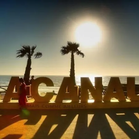 Apartment L'ocean&dunes Vue A 180° En Bord De Lacanau