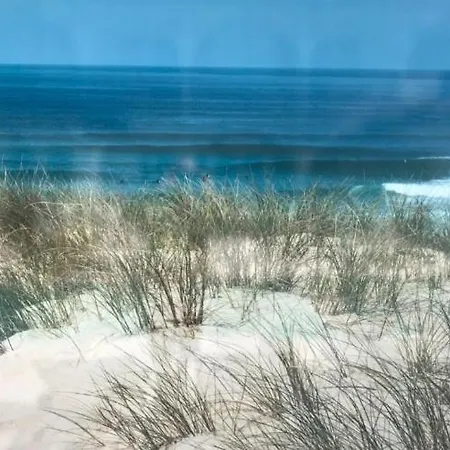 Apartment L'ocean&dunes Vue A 180° En Bord De Lacanau