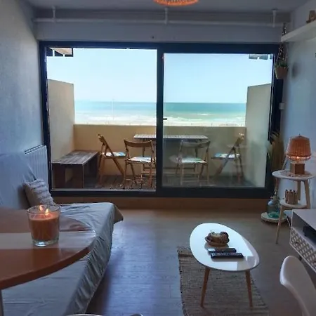 L'ocean&dunes Vue A 180° En Bord De
